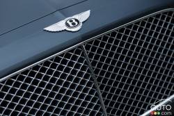 détails de la calandre avant