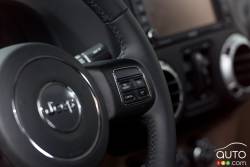 Steering wheel mounted cruise controls