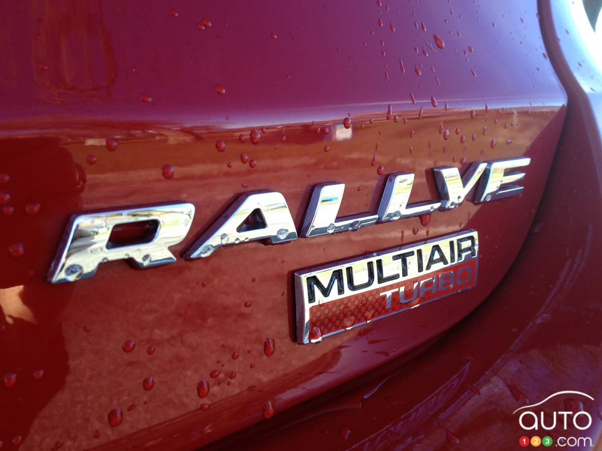 Logo details