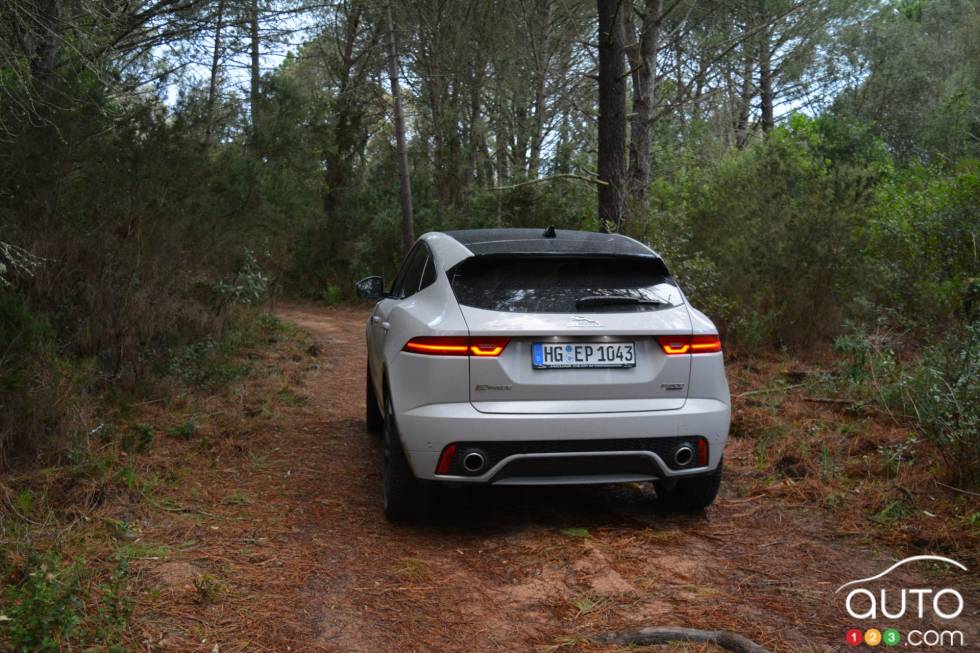 Rear view