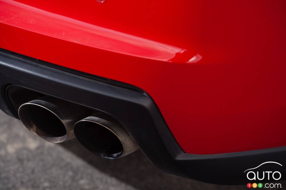 Dual exhaust tips