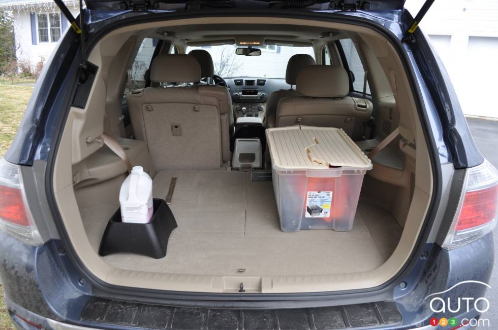 trunk