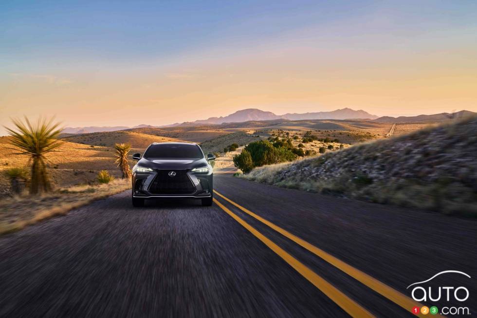 Introducing the 2022 Lexus NX