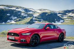 Mustangs autour du monde- Norway (vue de profil)