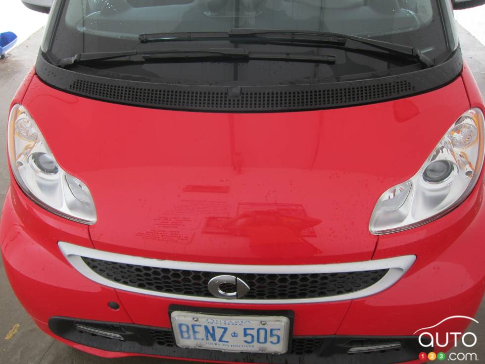 Vue de face rapprochée