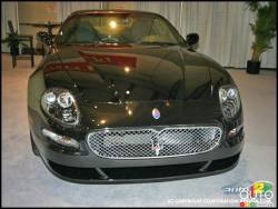 Toronto Maserati 2005