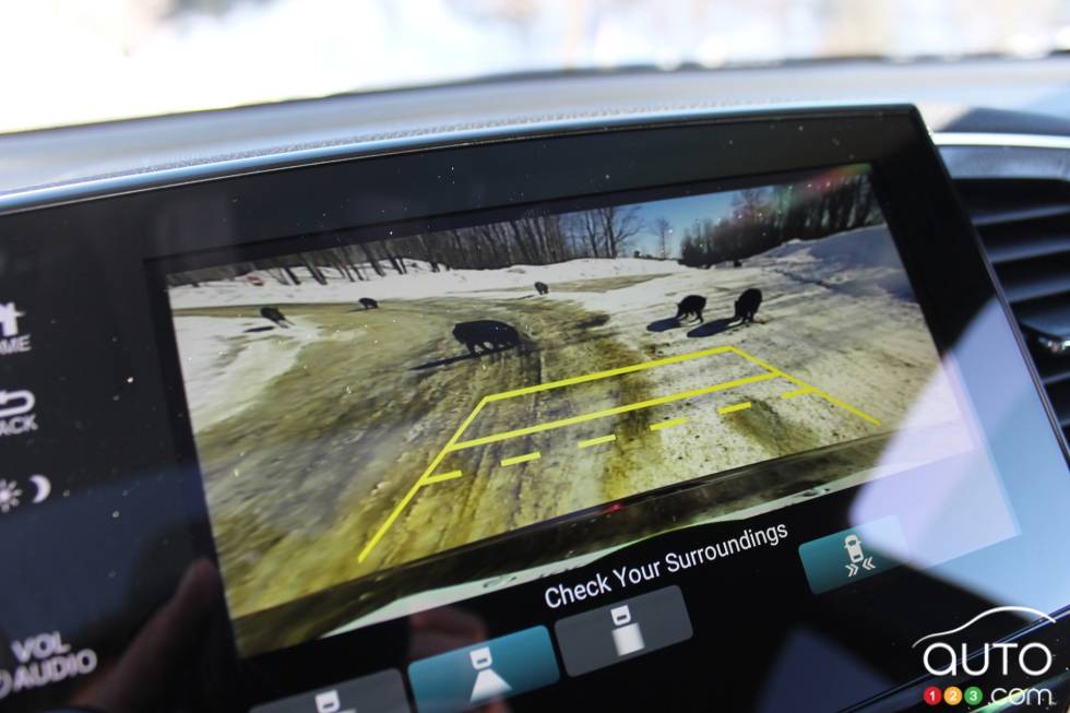 We test drive the 2019 Honda Passport