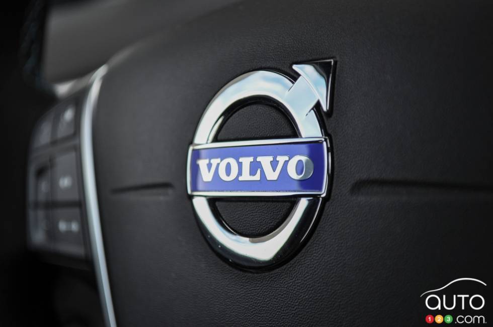 logo details