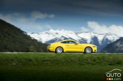 Mustangs autout du monde - Austria (vue de profil)