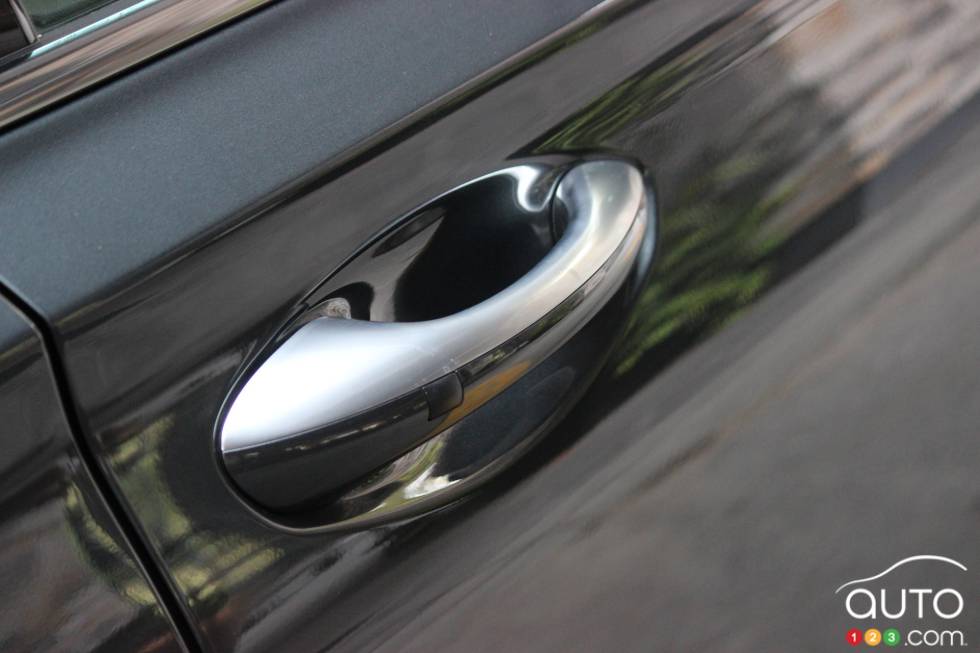 Poignée de portière