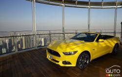 Mustangs Around the World - Dubaii (Front view)
