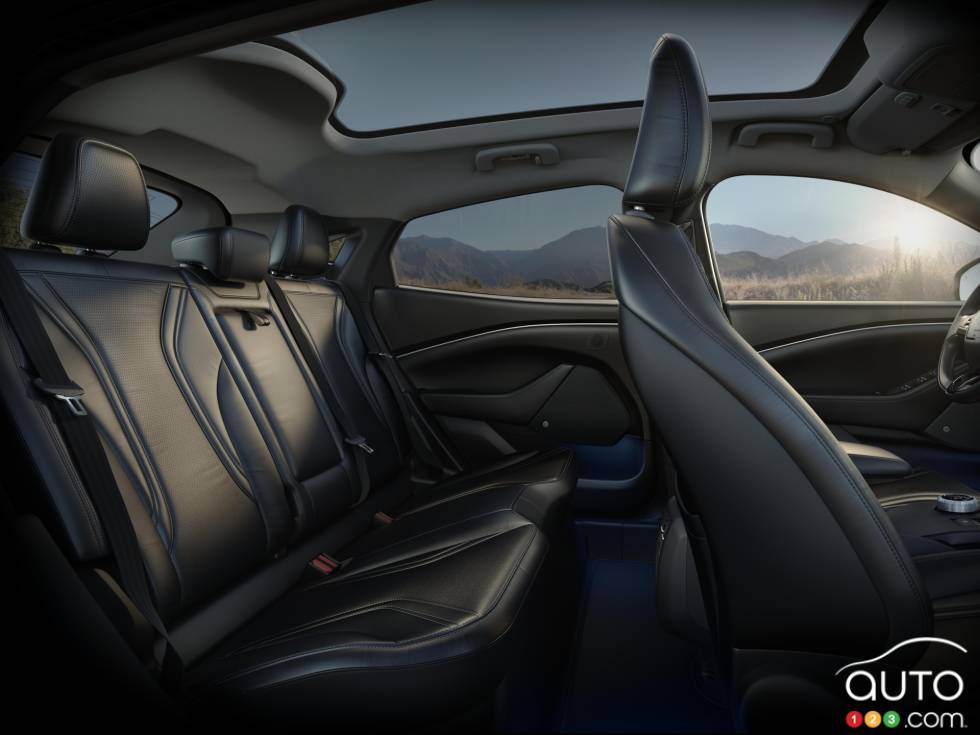 Introducing the 2021 Ford Mustang Mach-E