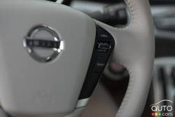 Steering wheel details