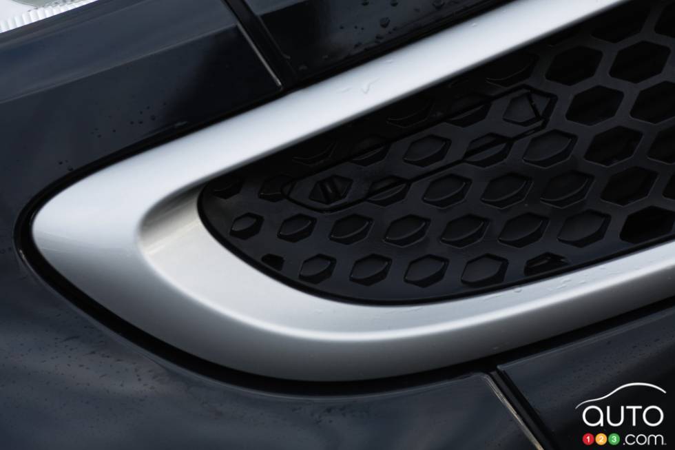 Grille details