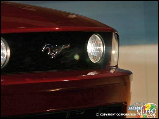 Toronto Ford 2005