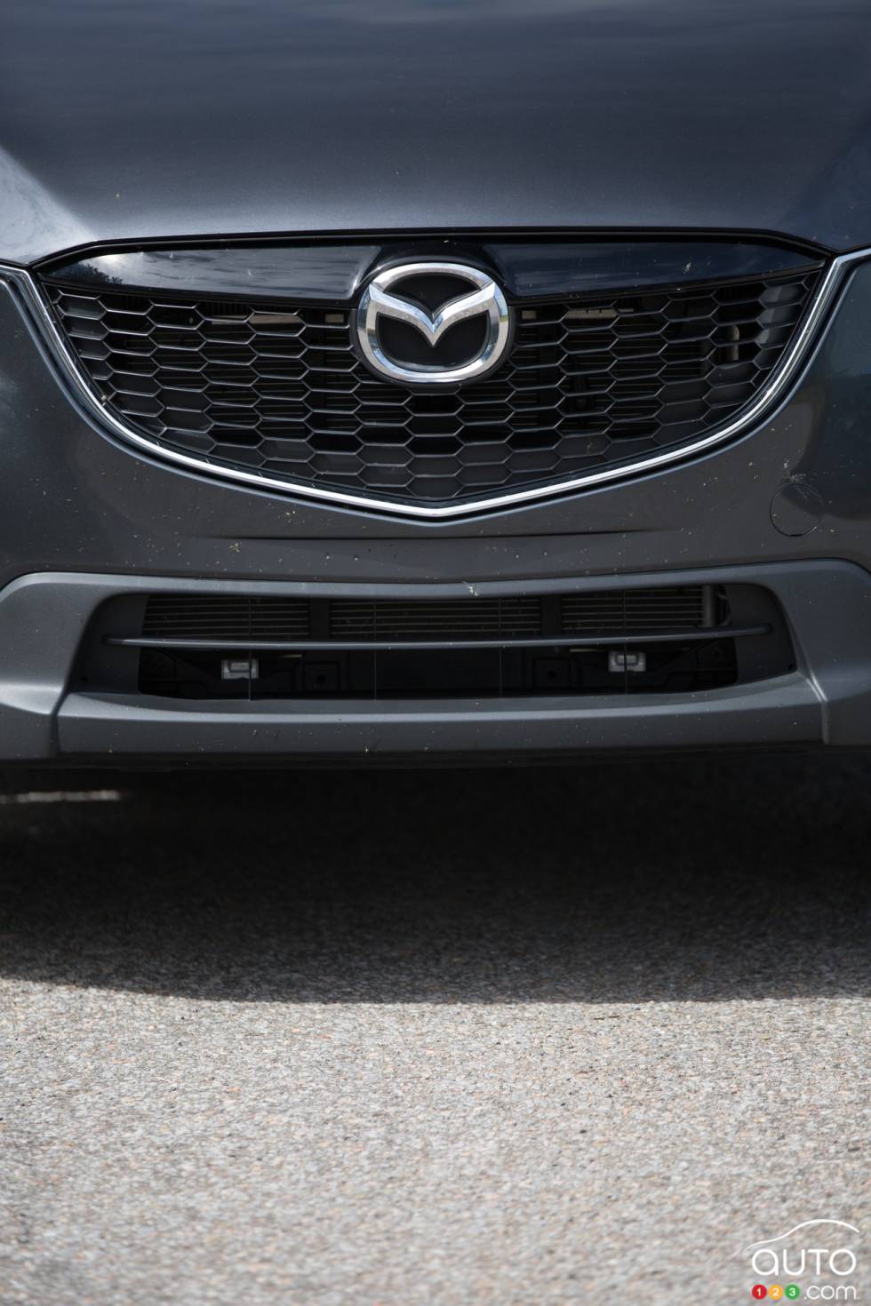 détails de la calandre avant