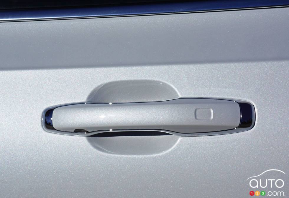 Door handle                               