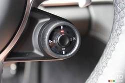 Steering Wheel Features