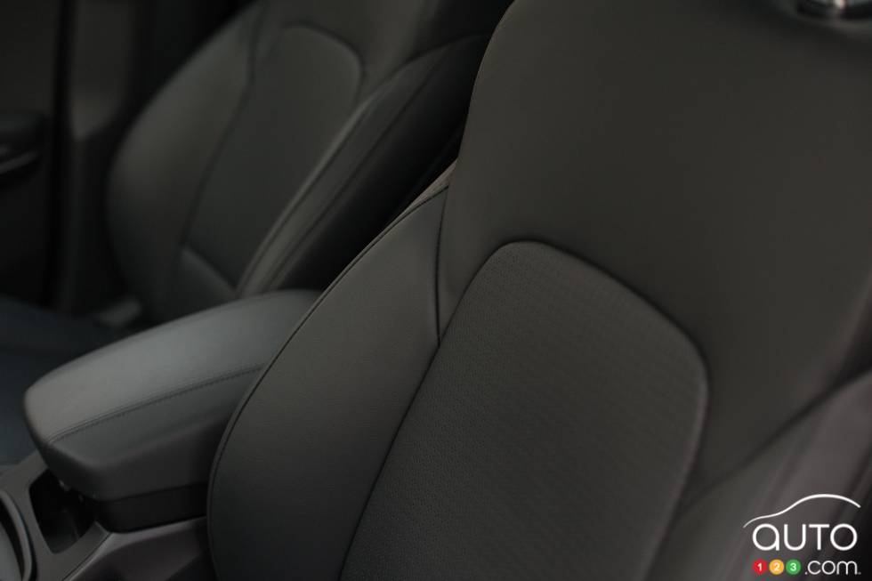 Seat trim details