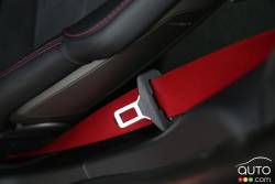 seatbelt details