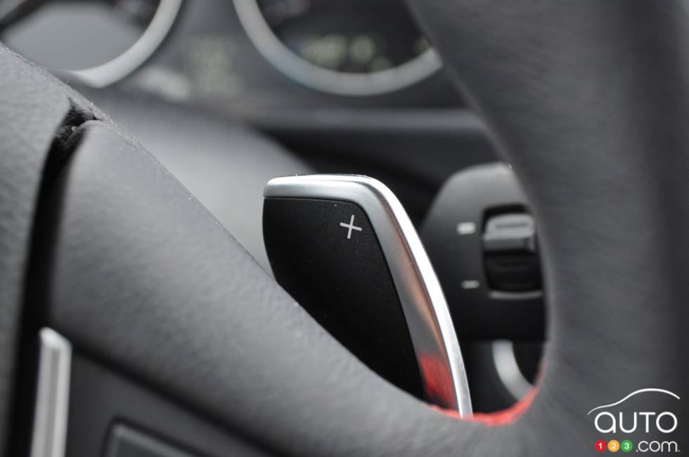Paddle shift details
