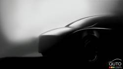 Introducing the new 2021 Tesla Model Y