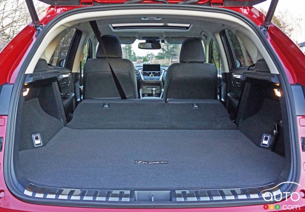 2016 Lexus NX 300h executive trunk