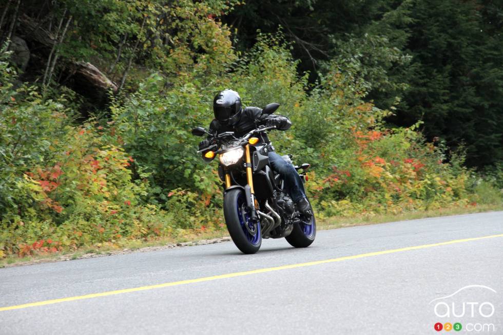 front 3/4 action view