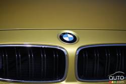 front grille détails