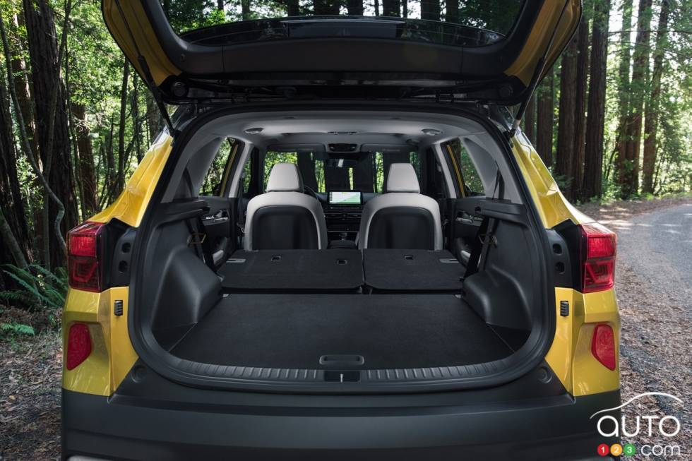 Introducing the 2021 Kia Seltos