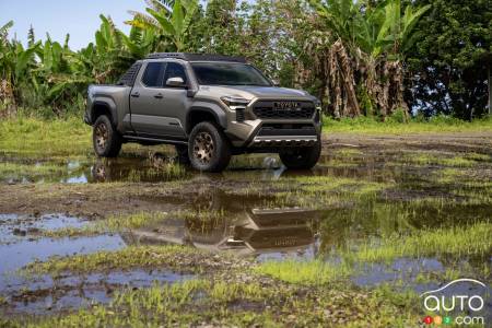 2024 Toyota Tacoma pictures