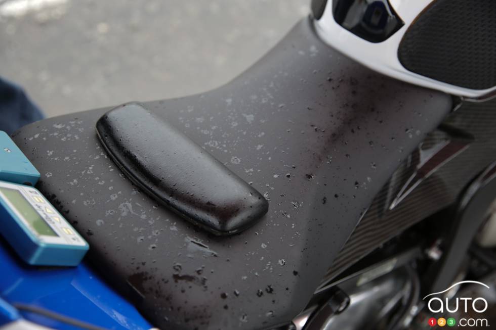 saddle