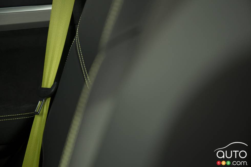 Body-coloured seat belt