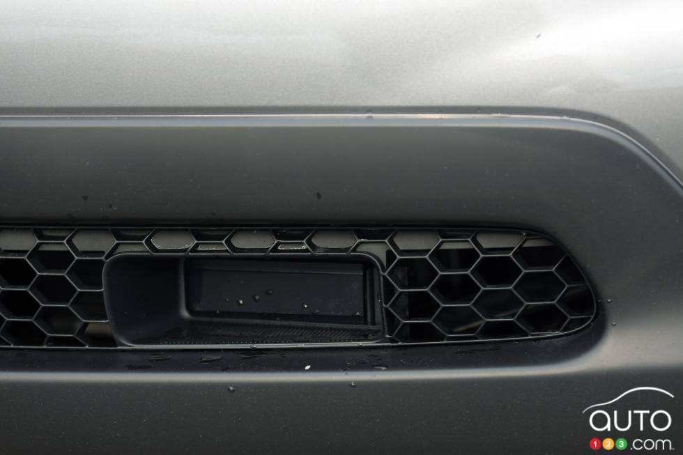 Grille details