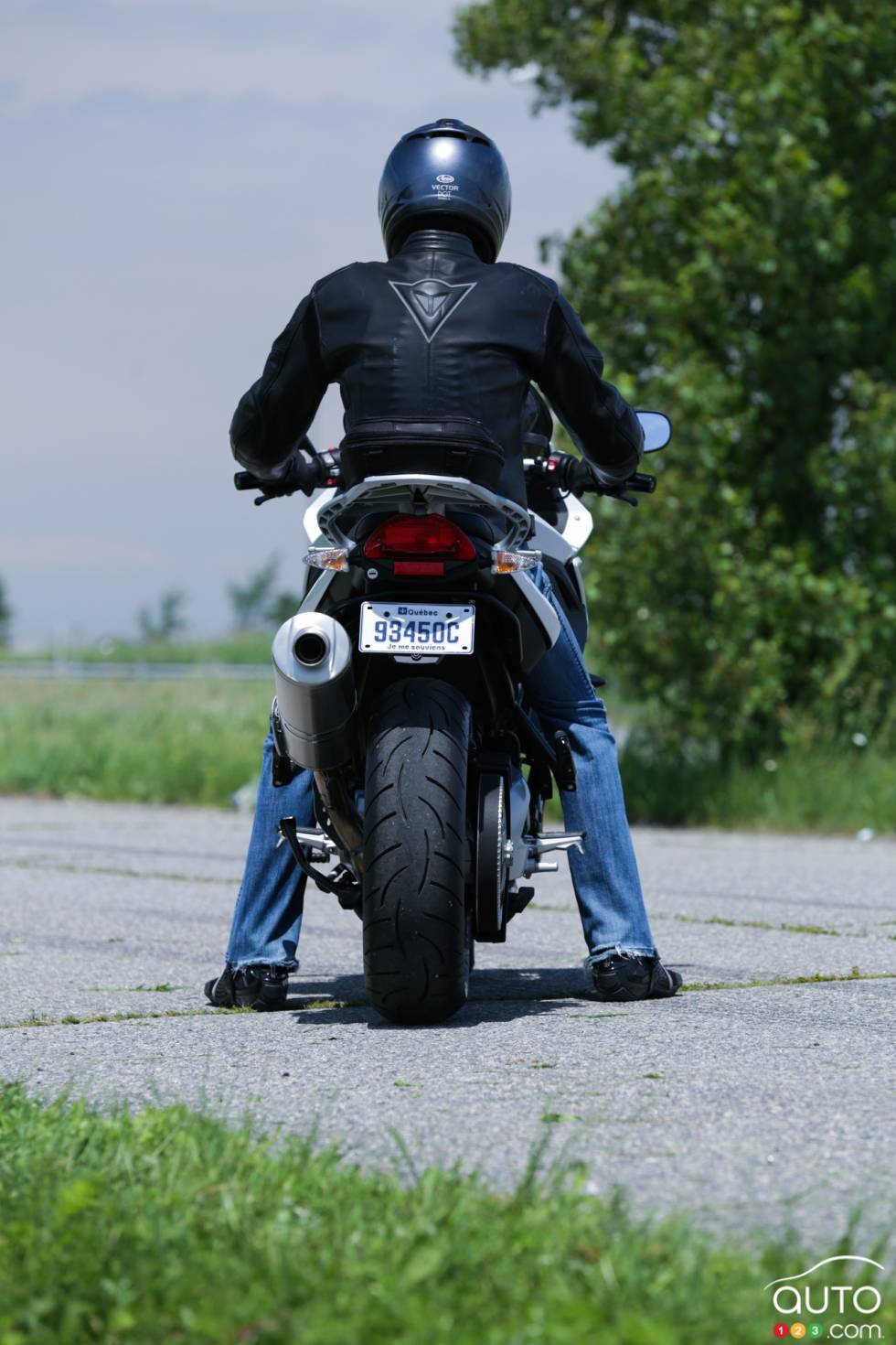 rear view with rider