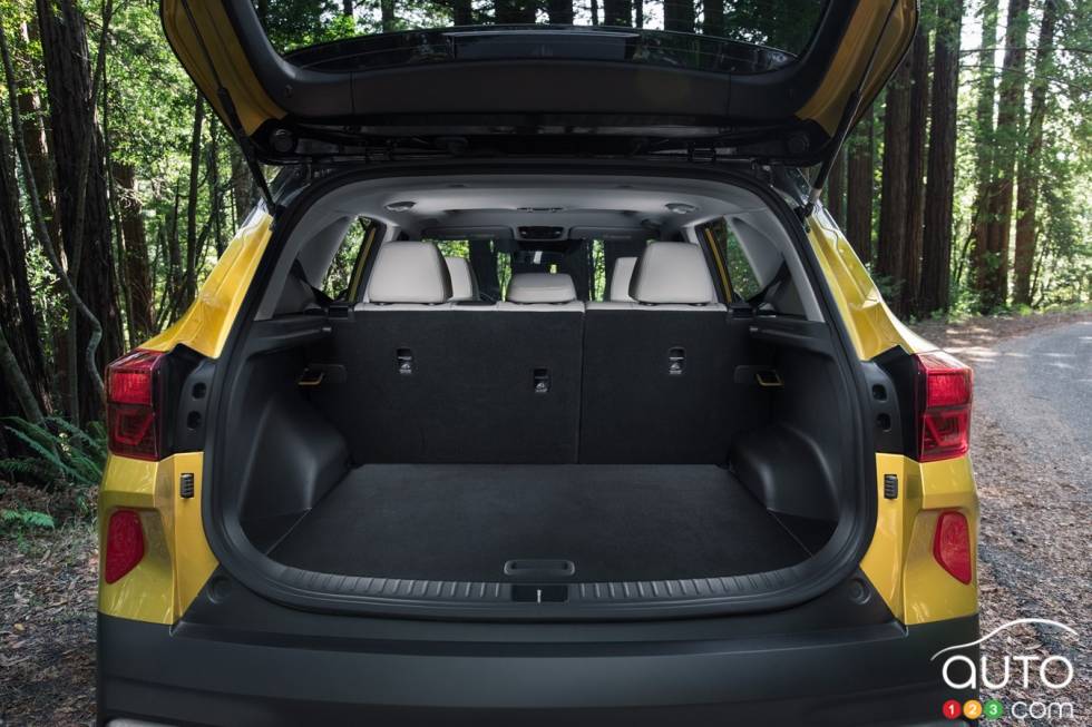 Introducing the 2021 Kia Seltos