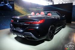 Introducing the new 2019 BMW 8 Series Convertible