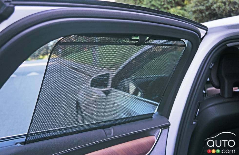   Rear door window                             