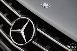 Détails de la calandre