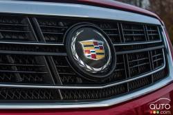 front grille détails