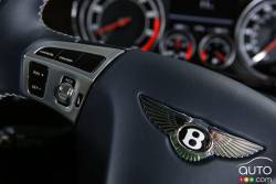 steering-mounted controls