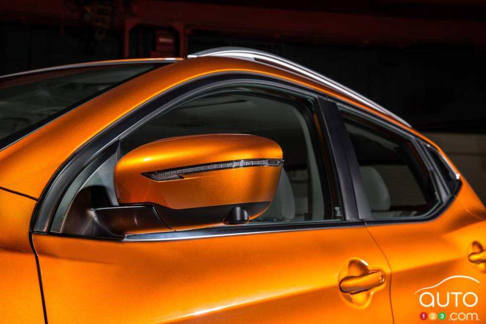 Side view with mirror