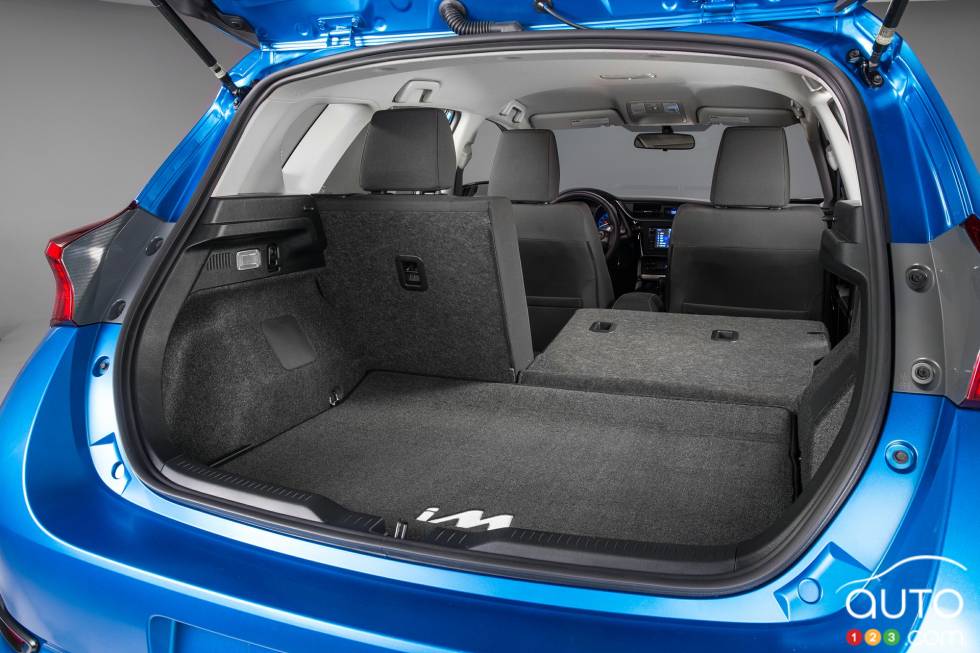 Trunk