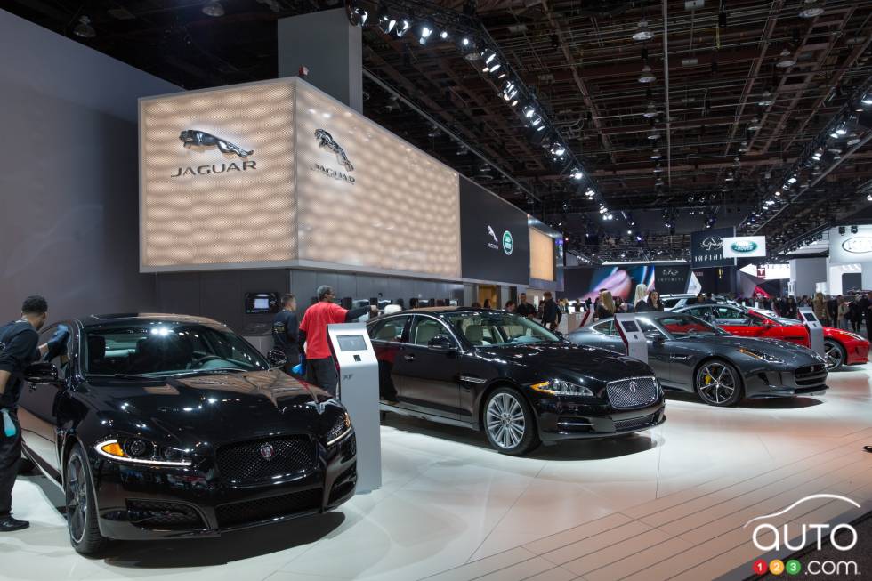 Jaguar stand