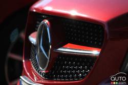 Détails de la calandre