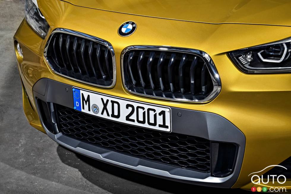 Bumper and front headlight