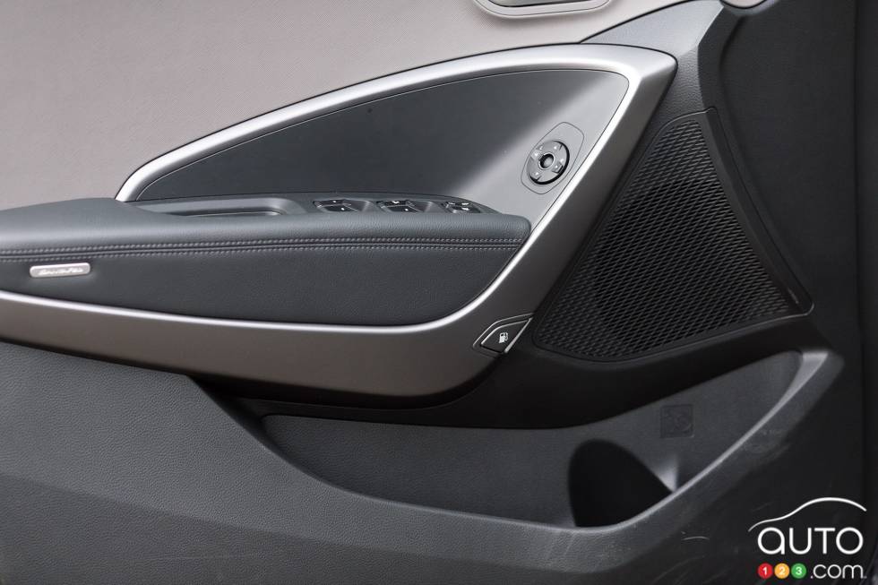 Interior door panel, driver's side