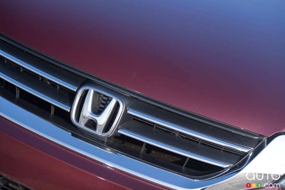 Détails de la calandre