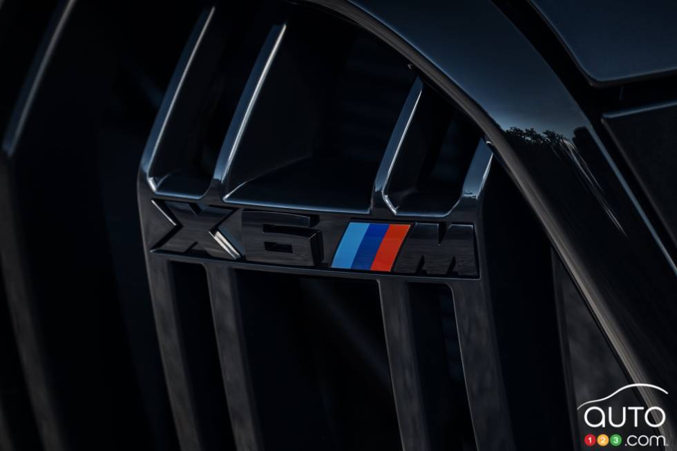 Introducing the 2020 BMW X6 M