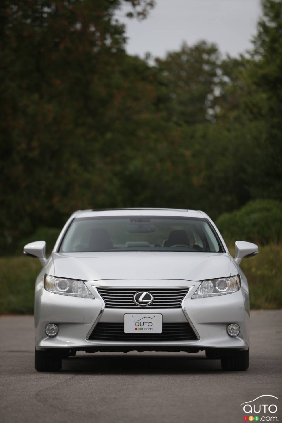 Front view, vertical